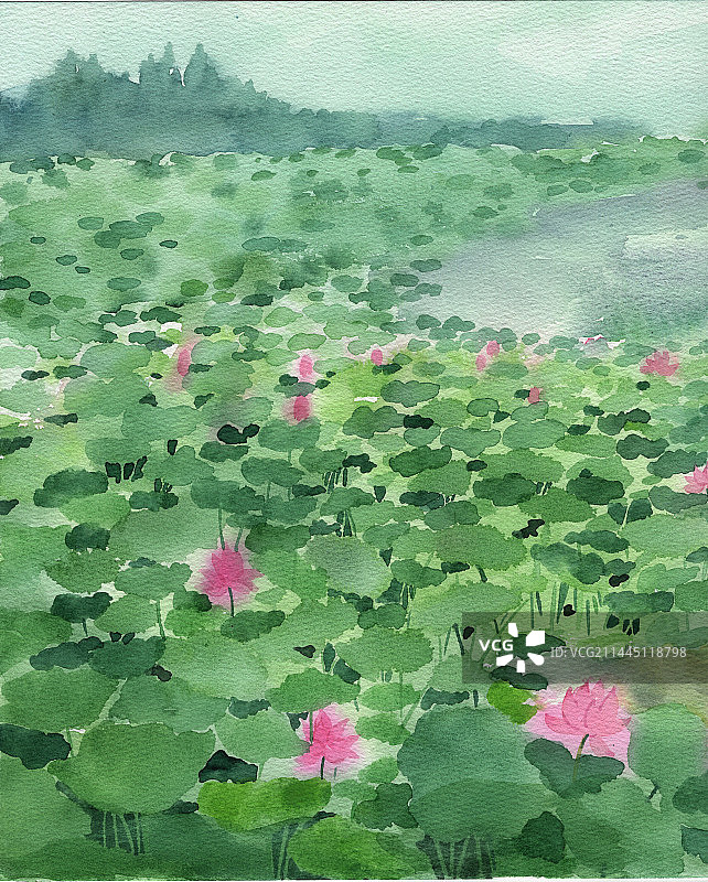 手绘荷花池塘插画插图水彩绘本图片素材