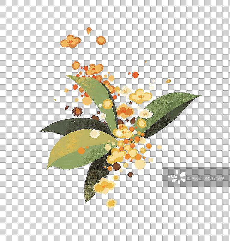 手绘桂花插画元素图片素材