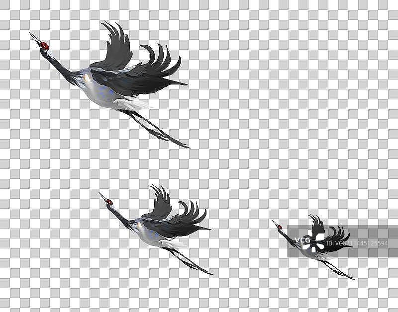 仙鹤 白鹤图片素材