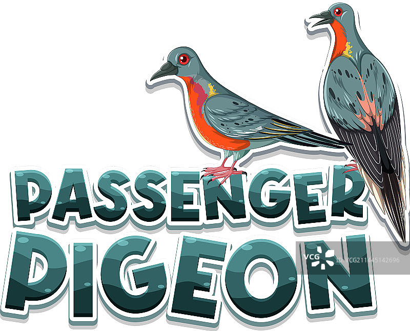 已灭绝的旅鸽鸟类图片素材