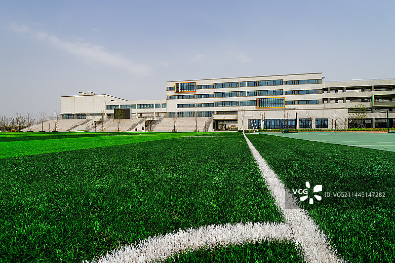 足球场绿色草地图片素材