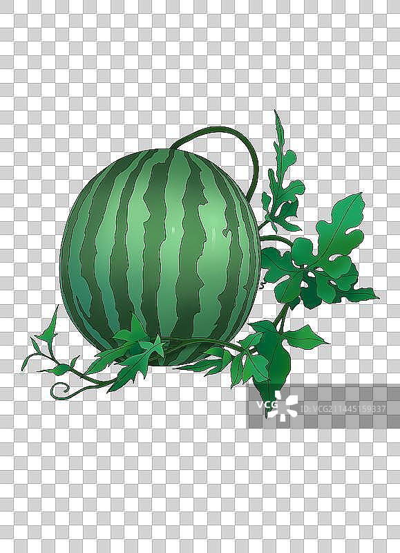 西瓜系列1图片素材