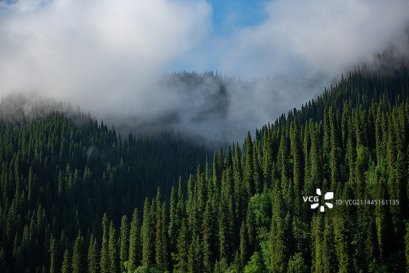 新疆伊犁图片素材