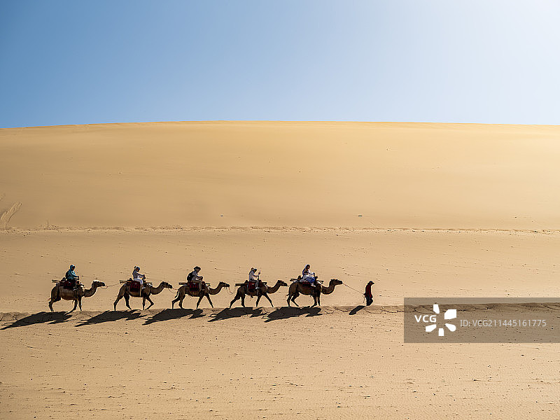 张掖鸣沙山骆驼风光图片素材