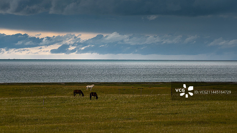 青海湖边的黎明图片素材