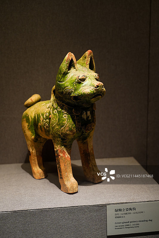 河南博物院 绿釉立姿陶狗图片素材