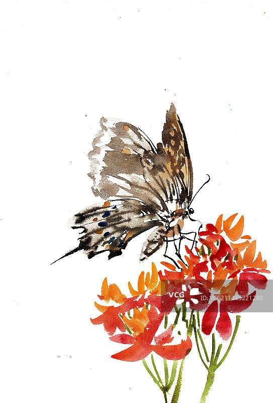 红花与蝴蝶图片素材