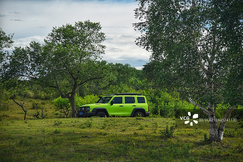 丛中过（大兴安岭黄岗梁）图片素材