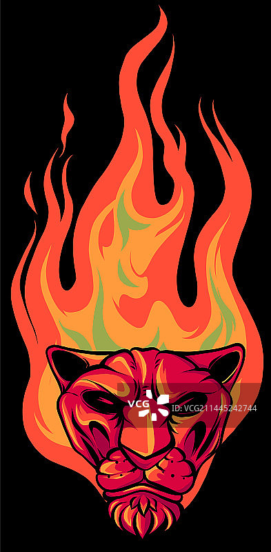 燃烧火焰的虎头图片素材