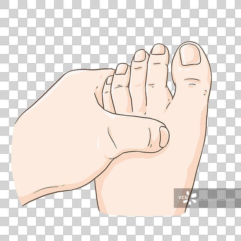 中医 穴位 养生 按摩 养老 太冲穴图片素材