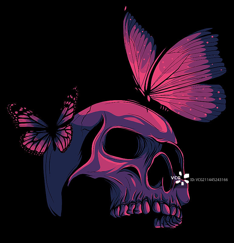 黑色背景上的蝴蝶彩色骷髅图片素材