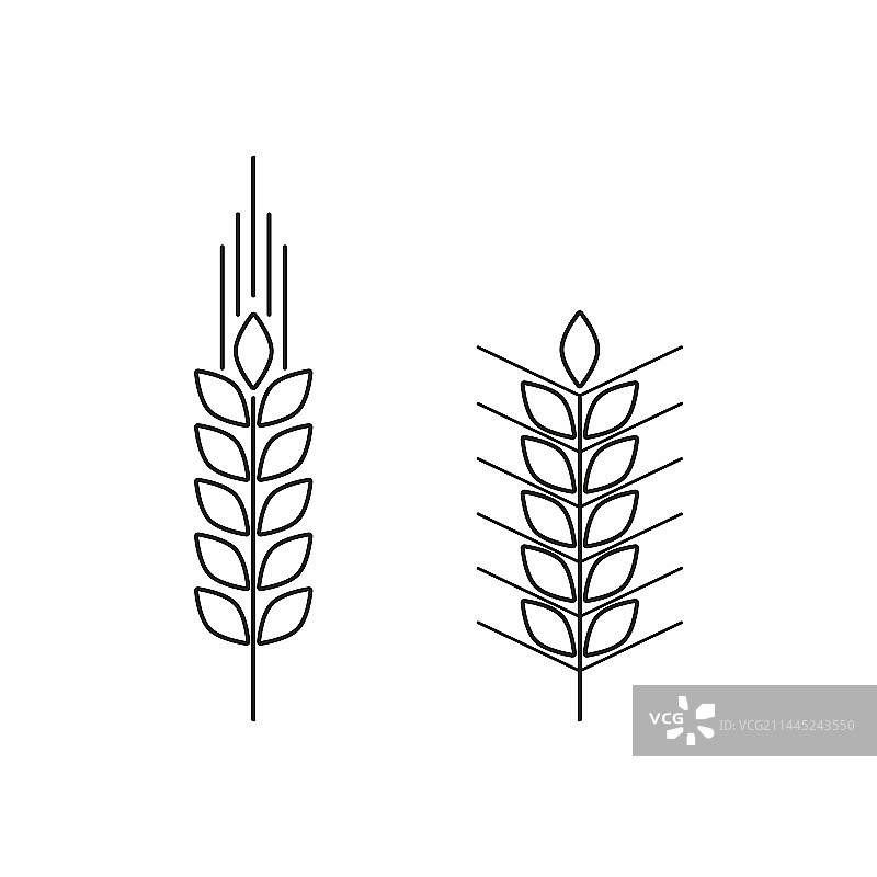 麦穗线性图标图片素材