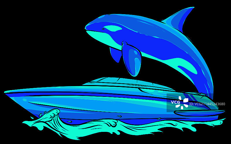 一艘虎鲸游向船只图片素材