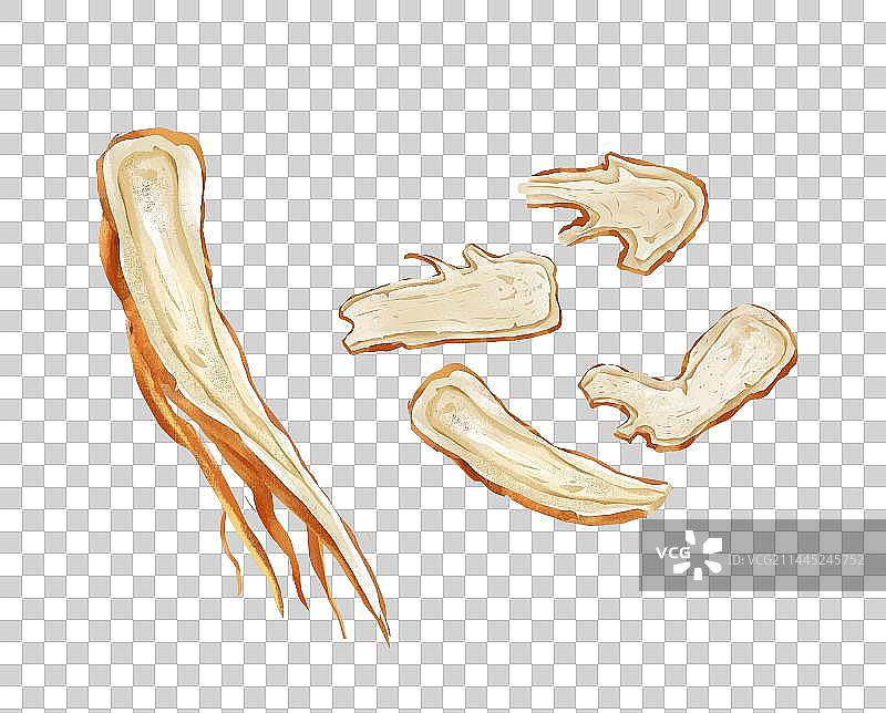 中国传统文化中草药药材之 当归图片素材