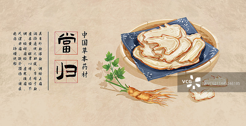 中国传统文化中草药药材之当归图片素材