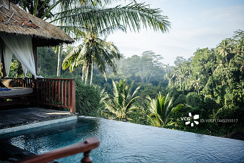 巴厘岛雨林泳池酒店图片素材
