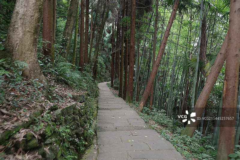 四川乐山峨眉山｜户外徒步｜报国寺到洗象池沿途景色图片素材