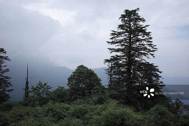 四川乐山峨眉山｜户外徒步｜报国寺到洗象池沿途景色图片素材