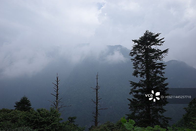 四川乐山峨眉山｜户外徒步｜报国寺到洗象池沿途景色图片素材