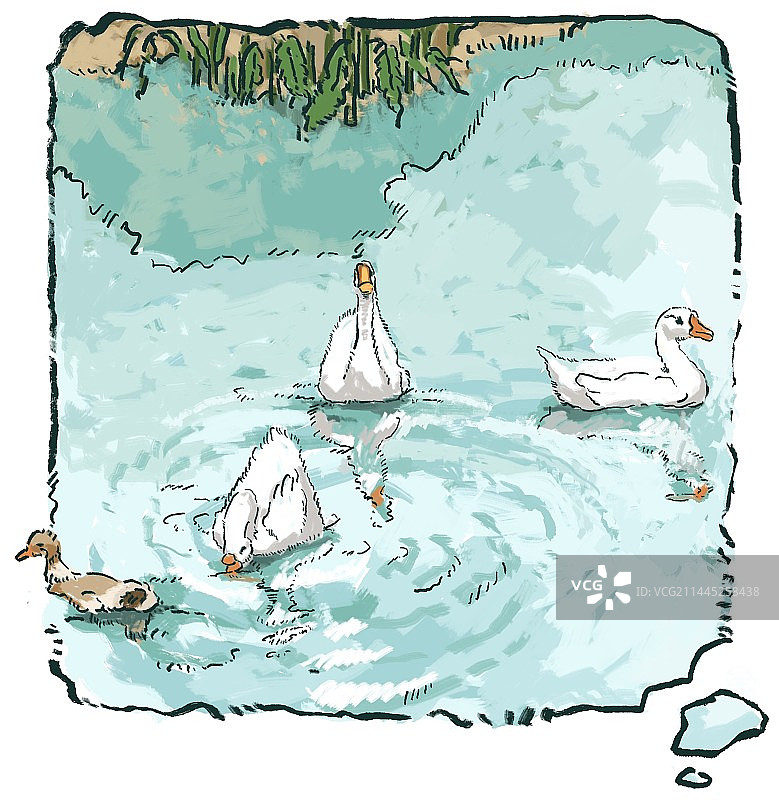 湖里的鸭子图片素材