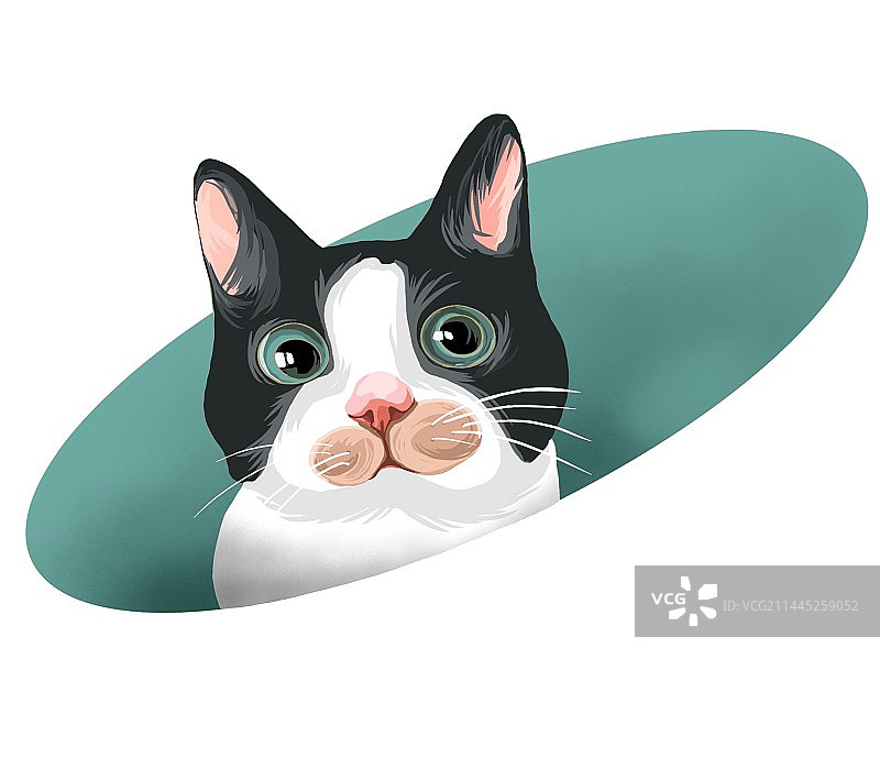 猫猫插画图片素材