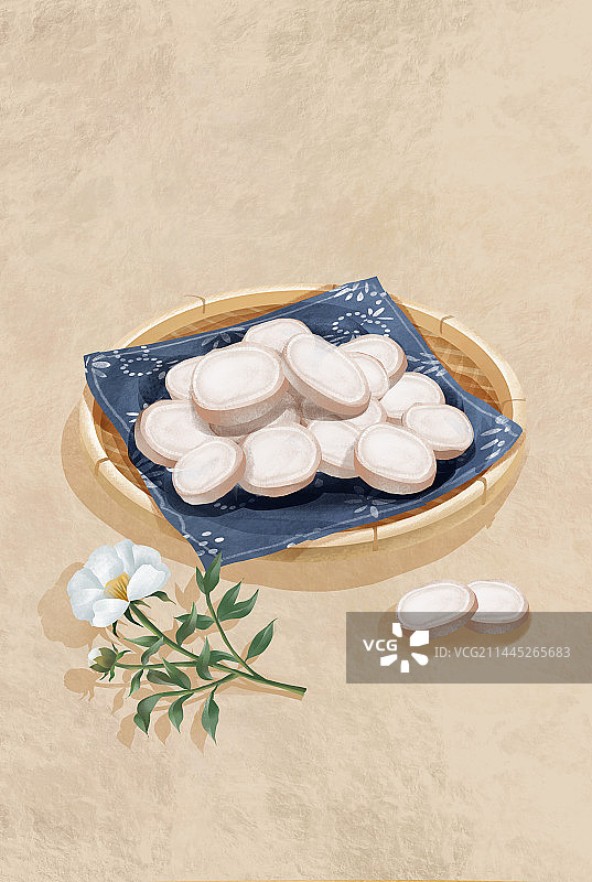 中国传统文化中草药药材之白芍图片素材