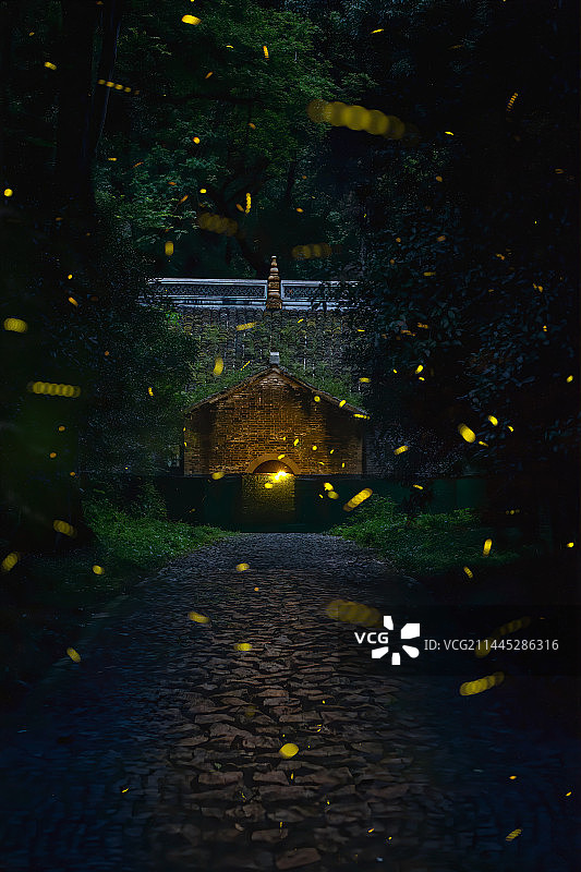 夏夜志公殿附近的萤火虫光斑+灵谷寺（南京）图片素材