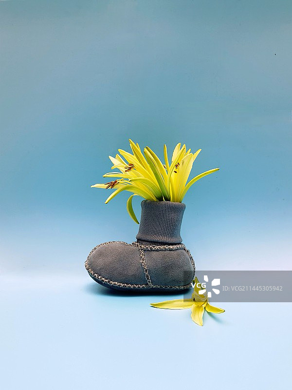 靴子里的黄花图片素材