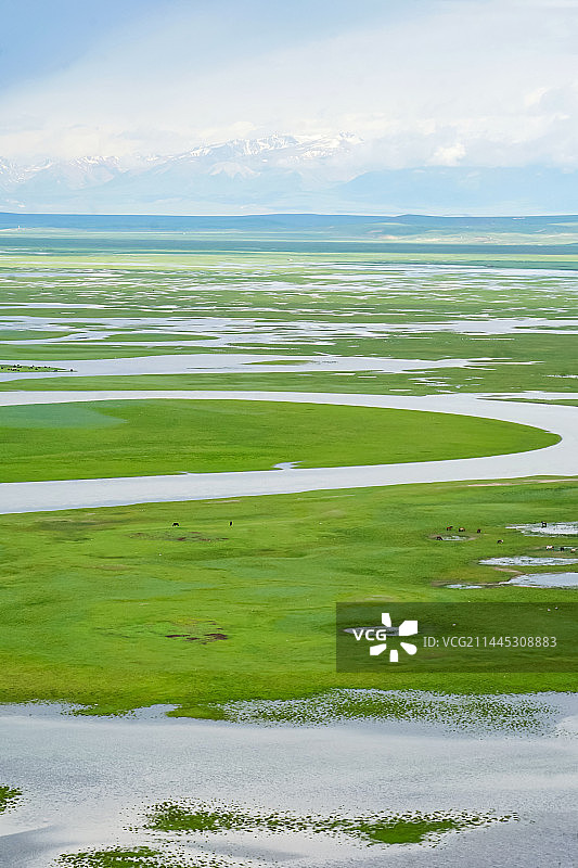 巴音布鲁克高原湿地夏季草原上的河流与湖泊图片素材