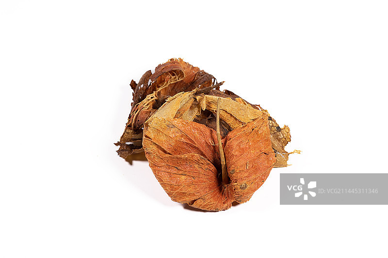 白背景中草药中医药材锦灯笼图片素材