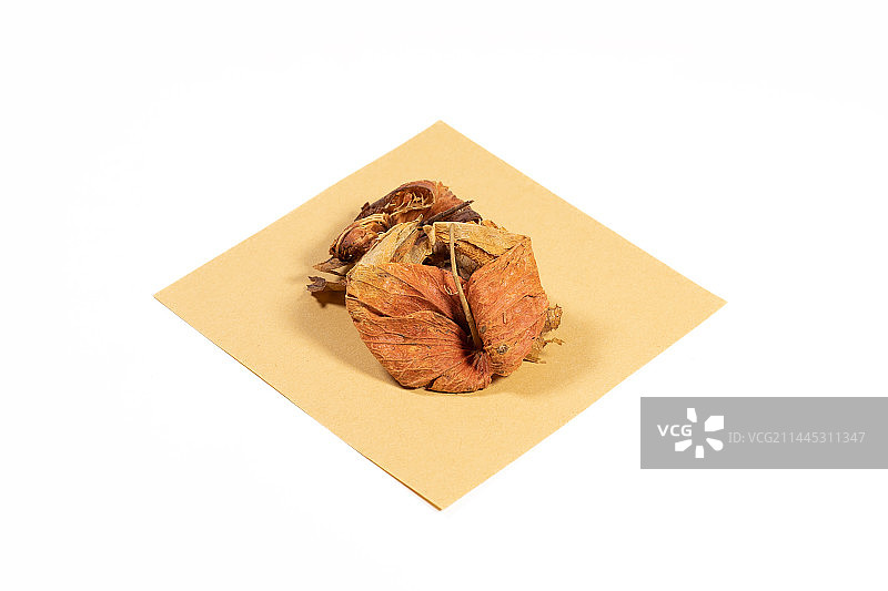 白背景中草药中医药材锦灯笼图片素材