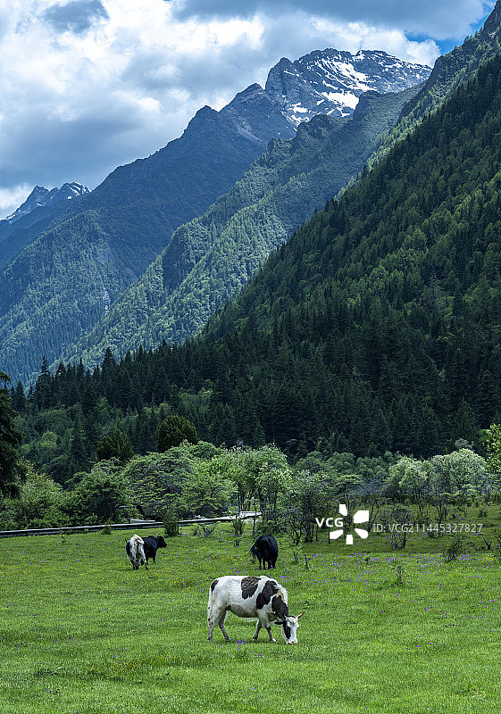 四姑娘山图片素材
