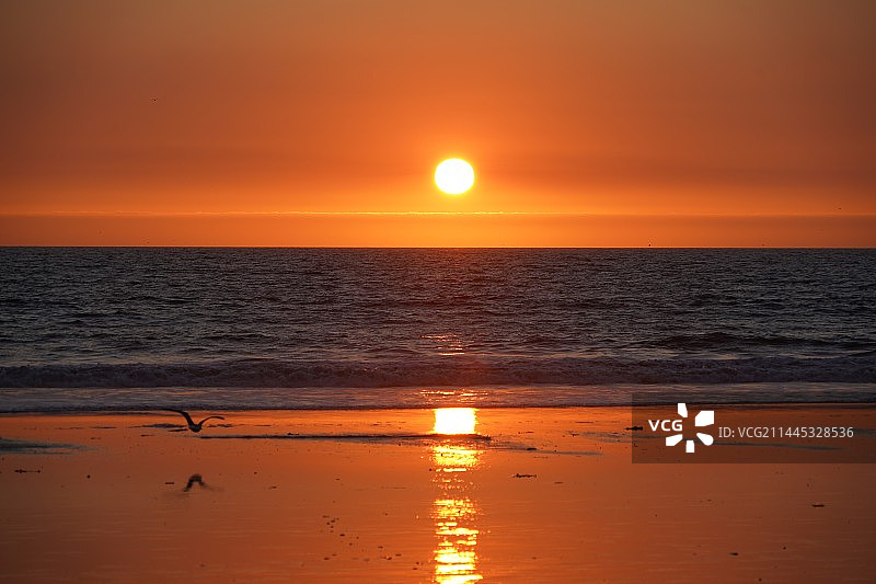 圣莫尼卡海滩的日落图片素材