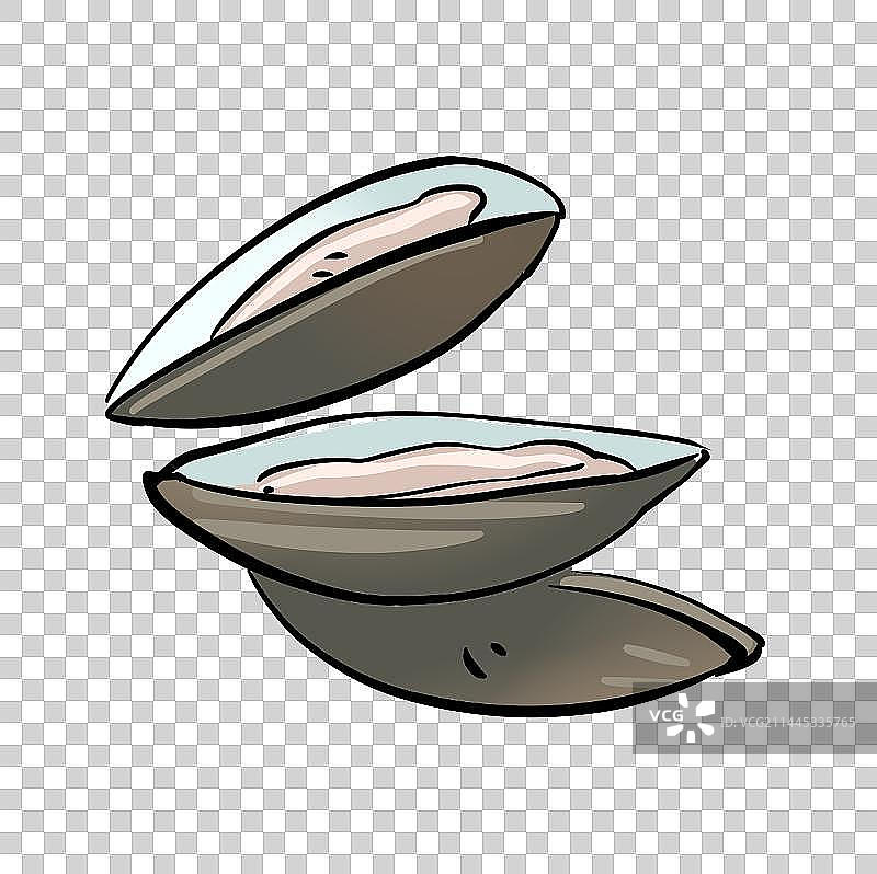 贝类海瓜子图片素材