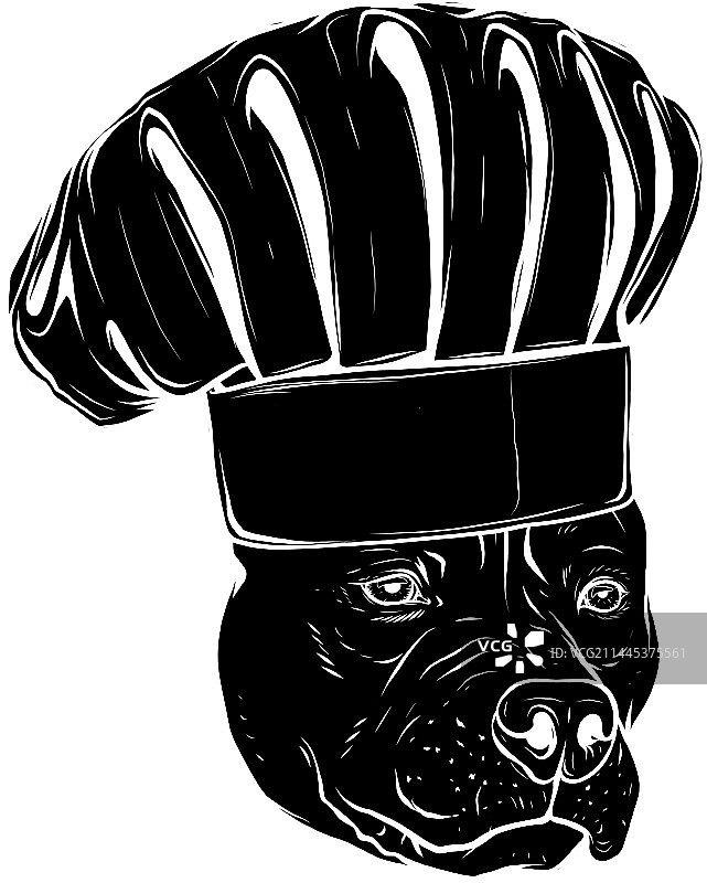 厨师剪影中的黑色比特犬图片素材