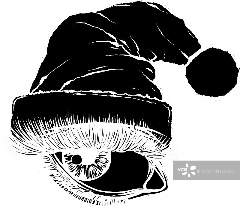 戴圣诞帽的女人眼睛黑色剪影图片素材