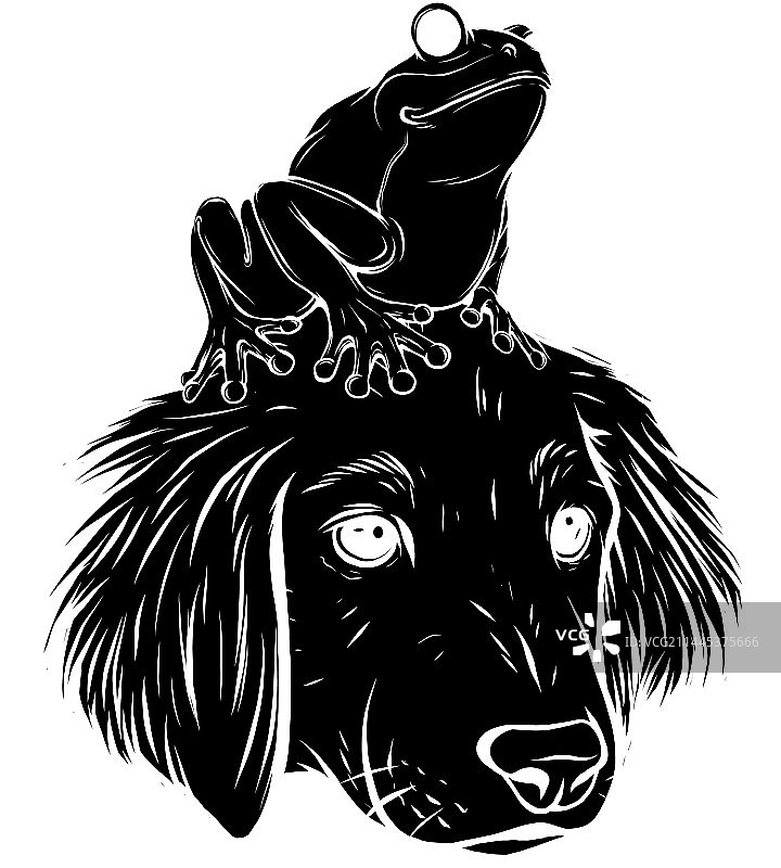 黑色剪影：坐在狗头上的青蛙图片素材