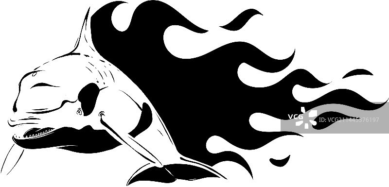 带火焰的虎鲸黑色轮廓图片素材
