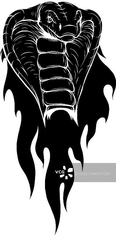 眼镜蛇头火焰黑色剪影图片素材