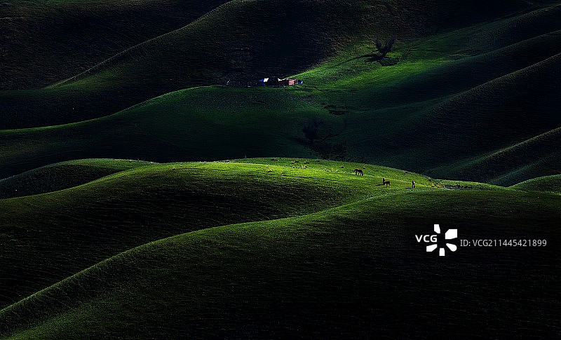 这片海图片素材