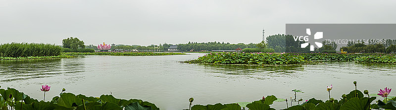 河北保定安新县白洋淀风光图片素材