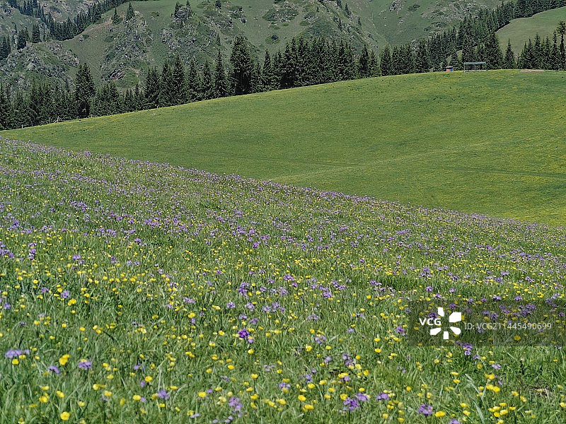 阿克塔斯图片素材