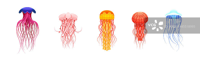 伞状彩色水母图片素材