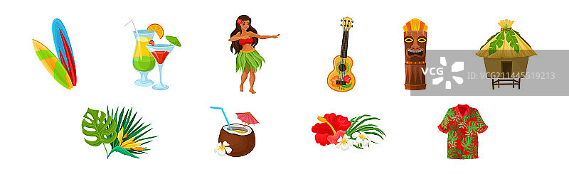 夏威夷热带物品和属性图片素材