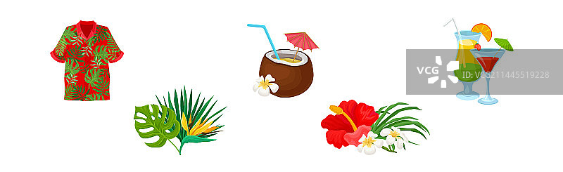 夏威夷热带物品和属性图片素材