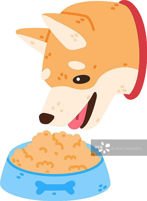 秋田犬和家养宠物吃东西图片素材