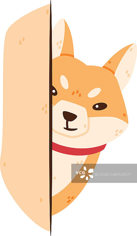 从角落后探出头的秋田犬图片素材