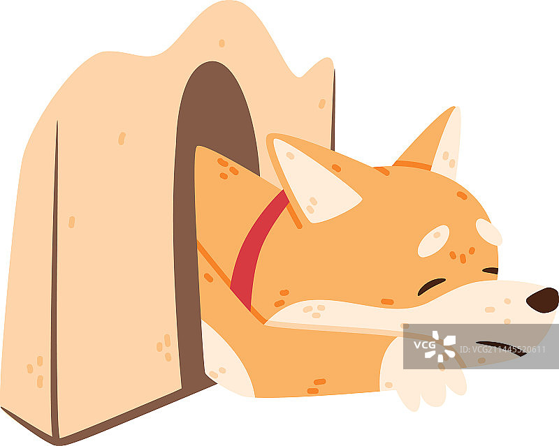 秋田犬与宠物图片素材