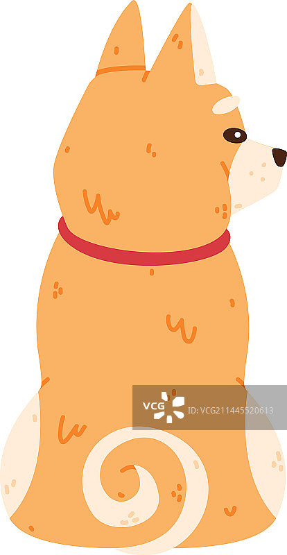 坐着的秋田犬宠物图片素材