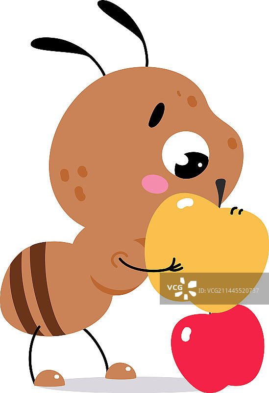 可爱的棕色小蚂蚁和苹果图片素材